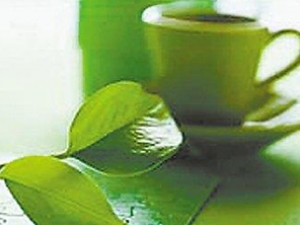 �ļ������ߴ����ϵĺ��뻵