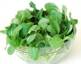 �Ͳ�ʳ�Ʒ���ѡ