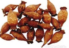 ��ҩ��ȫ ��ӣ��