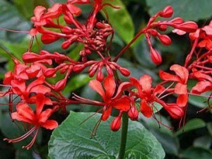 �Wͩ�Ĺ�Ч������