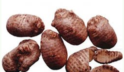 ��ҩ����