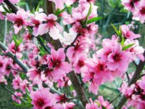 �һ�����Ҳ�������Ʊ���