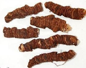 ��¥����Щ��Ч������