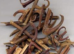 ��������Щ��Ч������