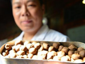 ��ҩ���� ������