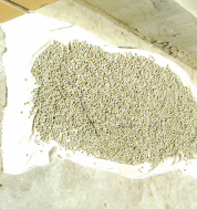 ��ҩ���� ����������