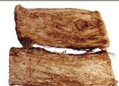 ��ҩ�� ���