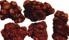 ��ҩ�� ��ܺ