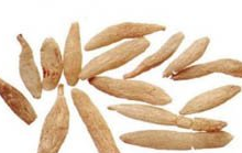 ��ҩ�� ��