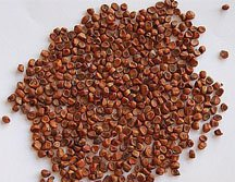 ��ҩ ������