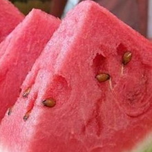 Ƣθ�麮�ٳԶ��� ̰����������Ƣθ