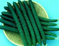 ������������Σ���Ժܴ�