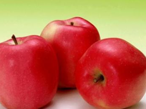 ��Ԥ������������к���ʳ��