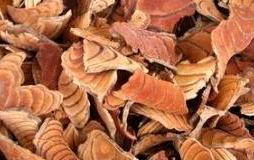 ͨ���ٵĹ�Ч������