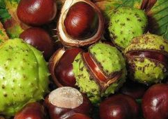 ����ӵĹ�Ч������