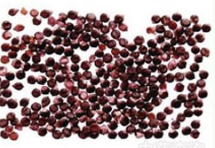 ��ҩ�� ˮ�컨��