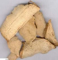 �����Z�Ĺ�Ч������