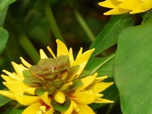 ������·�ƵĹ�Ч������