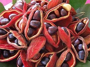 ���۹����Ĺ�Ч������