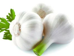 ��ҩ���õ�ʳ���������Щ