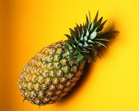 ����ʳ�Ʒ�