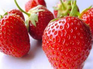 ��ݮʳ�Ʒ���ѡ