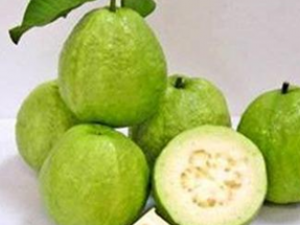 ��ʯ��ʳ�Ʒ���ѡ