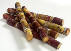 ����ʳ�Ʒ���ѡ