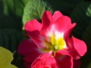 �������Ĺ�Ч����������Щ