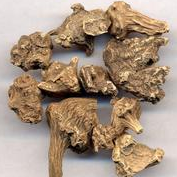 ���ӲεĹ�Ч������