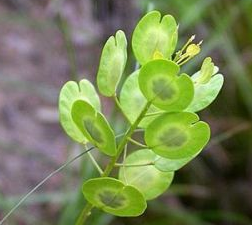 ݾ�q�Ĺ�Ч������