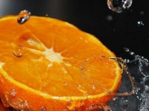 21�ּ������Ƶ�ʳ��