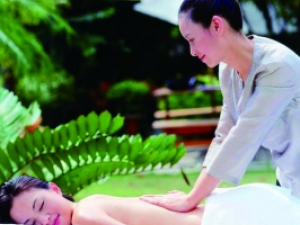 �л����������õ��в�ҩ