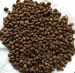 ���Ƶ�����Сƫ��