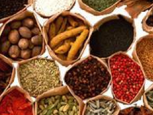 ��ҩ������������