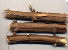 ��ҩ ���չ�