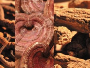 ��ҩ �����