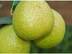 �����������������