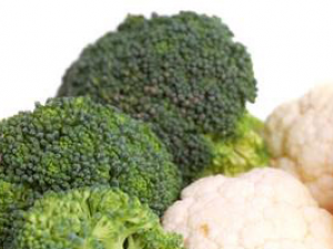 ��Ч���ѷ�������ʳ��