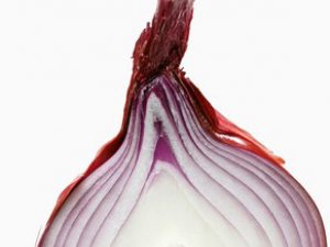 ����п��Ե������в���