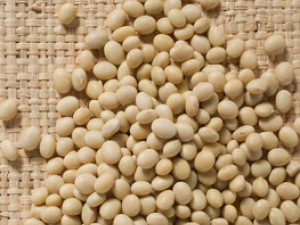 ���ֶ�����̲���Ч