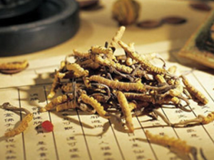 �����ؾ�֮һ���Ǿ�������