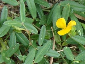 ����ݸ��Ĺ�Ч������