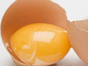 ������ߵļ���С����