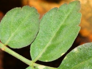 ��ػ����Ĺ�Ч������