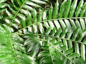 ��ü���������Ĺ�Ч������