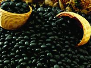 8��������Ѫ��Ʒ