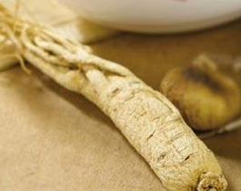 ����οɲ������� ��������