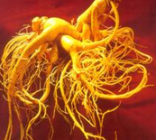 Ұɽ�εĹ�Ч������