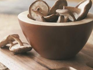 ��ҩ���� �Ӽ��ľ�����